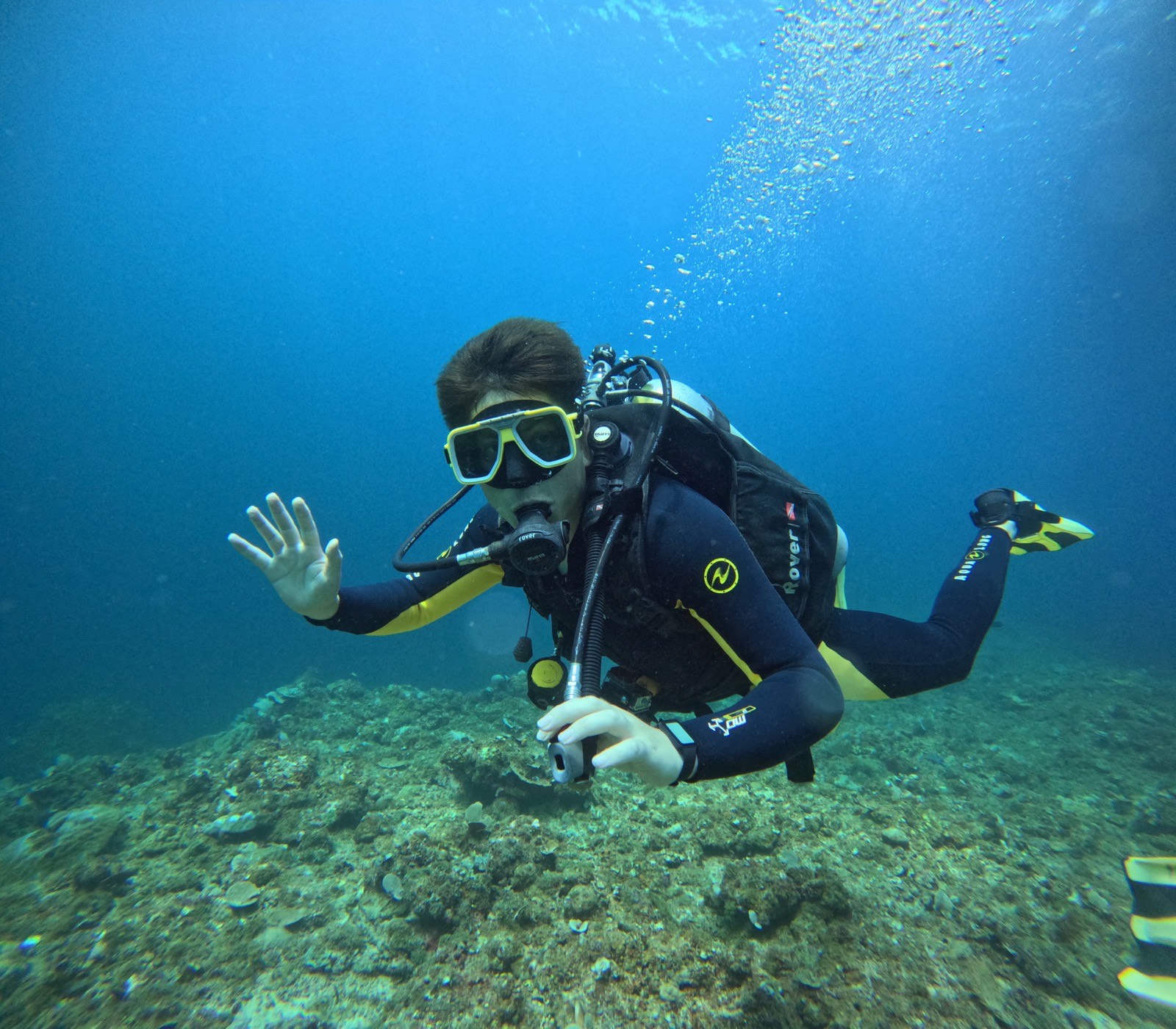 Diving